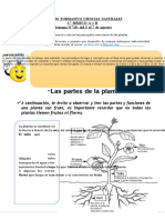 1°básico Ciencias Naturales Semana 19 1