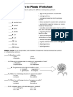 Intro To Plants Worksheet: or Completes The Sentence