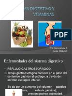 Sistema Digestivo y Vitaminas