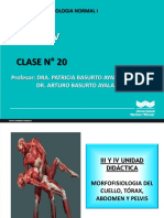 Clase 20 Morfofisiologia 2022