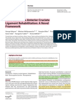 Periodization in Anterior Cruciate Ligament Rehabilitation: A Novel Framework