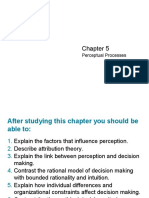 Perceptual Processes