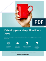 Developpeur D'application Java