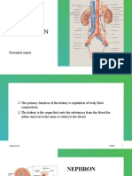 Urine Production