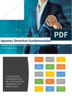 Apuntes Derechos Fundamentales (Derecho y Contecto Laboral) PDF