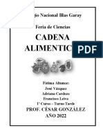 Cadena Alimenticia