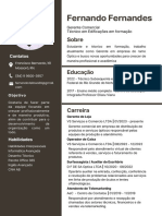 CV Curriculum Vitae - Fernando