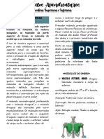 Músculos Apendiculares AULA 5 PDF