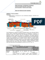 Tarea FG Absorción