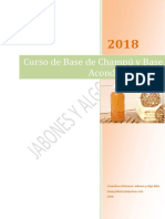 Guia Base de Champú y Acondicionador PDF