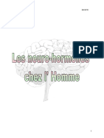 Les Neurohormones Chez Homme