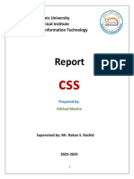 Dilshad Masiha Report PDF