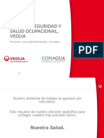 Guías en Seguridad y Salud Ocupacional VEOLIA