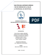 Practica de Reconocimiento de Carbohidratos y Lípidos