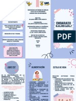 Triptico Embarazo Saludable PDF