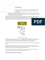 Structure of Proteins