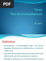 Tinea - The Dermatophytes