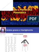 QBQ0215N - Aula 10 - Lipideos e Membranas PDF