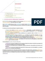 06 - Anatomía y Fisiología Del Aparato Excretor PDF