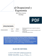 CLASE 2 Salud Ocupacional y Ergonomia