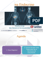 Sistema Endocrino