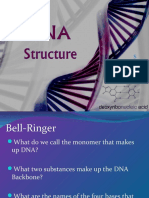 DNA Structure