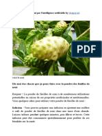 Copie de Poudre de Noni PDF