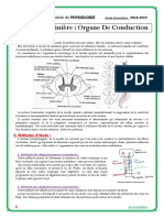 La Moelle Epinière, Organe de Conduction