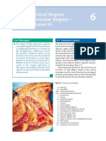 Laterocervicalregion (Supraclavicularregion - Robbinslevelv) : 6.1 Anatomiclayout Coremessages