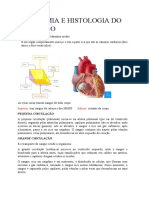 Anatomia e Histologia Do Coração