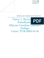 Unidad 3 Tarea 1 LLuvia de Ideas PDF