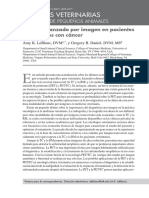 Estudia Avanzado Por Imagen en Pacientes Veterinarios Con Cancer PDF