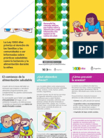 07 22 Triptico Alimentacion PDF