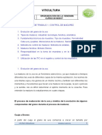 Madurez Fenolica PDF