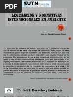 Legislacion y Normativas Internacionales en Ambiente U1Wetzel PDF