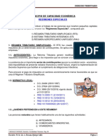 EJERCICIO No. 1 - PRINCIPIO DE CAPACIDAD ECONÓMICA 