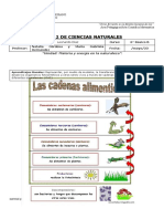 Cadenas Alimentarias 