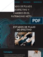 Estados de Flujo de Efectivo y Cambios en El Patrimonio Neto