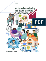 Derecho A Salud y Nivel de Vida Adecuado PDF