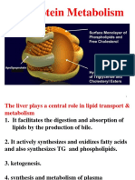 Lipioprotein Lec11 PDF