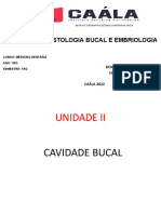 Aula-11 - Língua