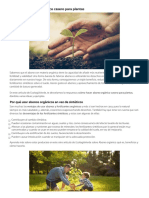 Cómo Hacer Abono Orgánico Casero para Plantas PDF