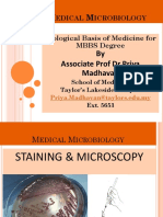 Staining and Micros PDF