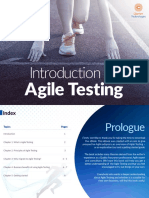 Introduction To Agile Testing PDF