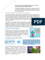 RESUMEN#5 Inmunidad Especializada en Las Barreras y en Los Tejidos Con Privilegio Inmunitario