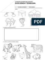 Examen de Ciencia y Tecnología PDF