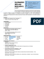 Modelo CV PDF