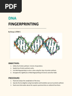 Group 1 Peta 1 - DNA Fingerprinting PDF