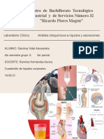 Sva Liquidos2 PDF