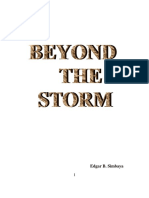 Beyond The Storm